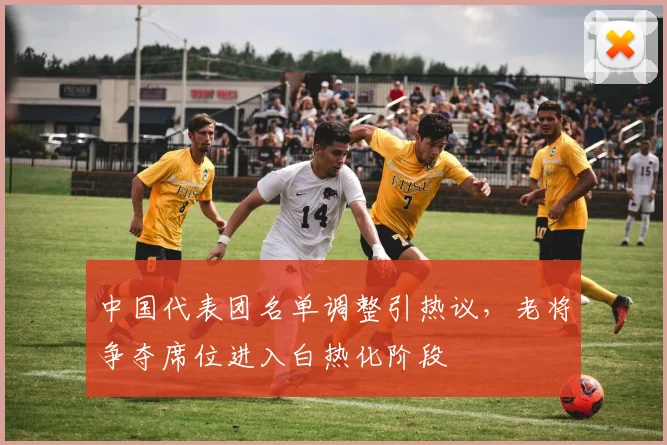 中国代表团名单调整引热议,老将争夺席位进入白热化阶段