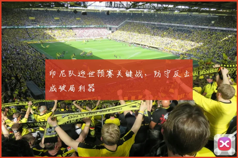 印尼队迎世预赛关键战，防守反击成破局利器 - 虎扑体育
